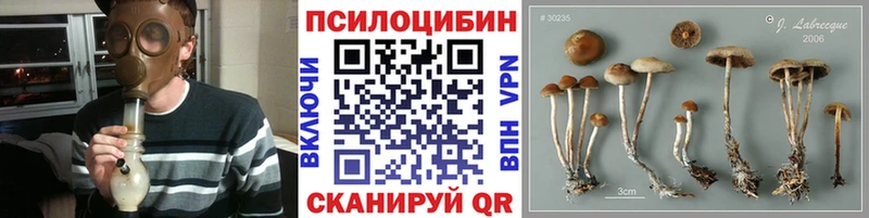 закладки  Северск  Галлюциногенные грибы Magic Shrooms 