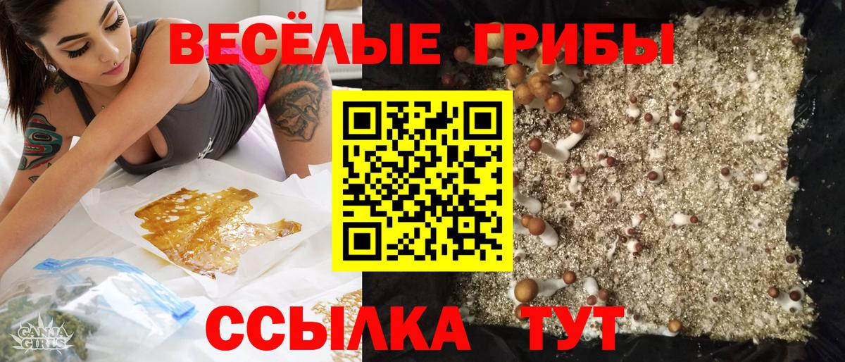 Галлюциногенные грибы MAGIC MUSHROOMS  Вход с VPN  Северск 
