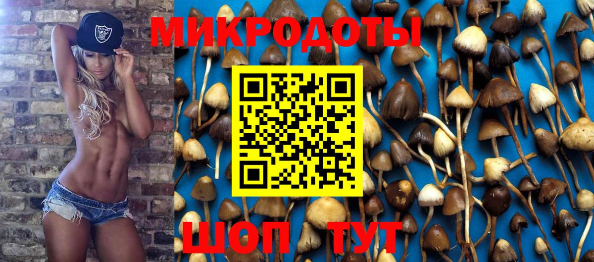 Галлюциногенные грибы прущие грибы Северск